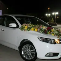 کرایه ماشین سراتو مشکی / rent a car / اجاره خودرو|خودرو اجاره‌ای|اصفهان, پارک مشتاق|دیوار