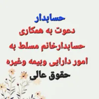حسابدار مسلط به امور بیمه ودارایی ومربوطه
