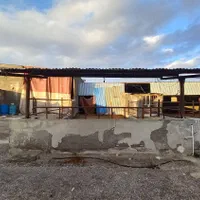 گاوداری صنعتی با تمام تجهیزات|فروش دفتر صنعتی، کشاورزی، تجاری|فریمان, |دیوار