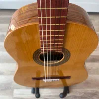 فروش ویژه آلات موسیقی شرایطی|گیتار، بیس، امپلیفایر|تبریز, |دیوار