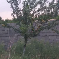 تهاتر یا فروش  باغ ۲۲۳۵ متری در اسلامشهر|فروش دفتر صنعتی، کشاورزی، تجاری|تهران, اسفندیاری|دیوار