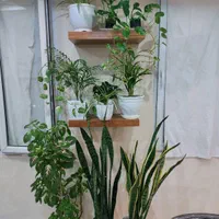 شلف ۲۰×۹۰/شلف/شلف دیواری|کتابخانه، شلف، قفسه‌های دیواری|تهران, حسن‌آباد|دیوار