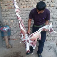 قصاب (سلاخ.ذبح)درمحل|خدمات پذیرایی، مراسم|ساوه, |دیوار