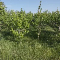 فروش زمین ۱۰۰۰ متری