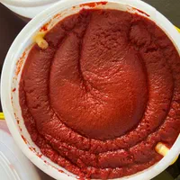 رب گوجه|خوردنی و آشامیدنی|اصفهان, مولوی|دیوار