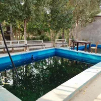 اسب سواری و باشگاه سوارکاری|اسب و تجهیزات اسب‌سواری|تبریز, |دیوار