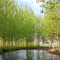 پروژه ای با اجراییات ناب|فروش خانه و ویلا|محمدیه-قزوین, |دیوار