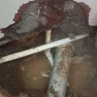 نشت یابی،لوله کشی آب ، فاضلاب و گاز،تعمیرات کابینت|خدمات پیشه و مهارت|اهواز, زیتون کارمندی|دیوار