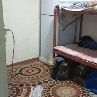 نیرو ماهر کارواش ایرانی فقط قراردادی