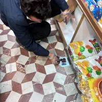 سمپاشی ساس سوسک سم پاشی مورچه کنه کک مایت|خدمات نظافت|تهران, پونک|دیوار