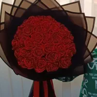عروسک|اسباب‌‌بازی|رشت, نظری|دیوار