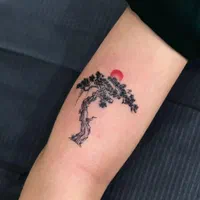 اموزشگاه تتو بدن اموزش تخصصی همراه بامدرک