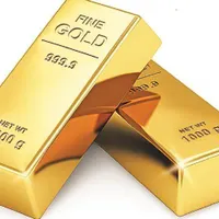یک قطعه طلا پیدا شده است