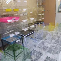دنیای قفس و لوازم جانبی پرندگان زینتی