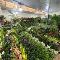 کارشناس خبره فضای سبز.طراحی نظارت اجرا.|خدمات باغبانی و درختکاری|تهران, تهرانپارس شرقی|دیوار