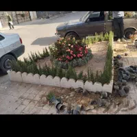 خدمات باغبانی باغچه کاری گلکاری درختکاری خاک گلدون|خدمات باغبانی و درختکاری|تهران, گیشا|دیوار