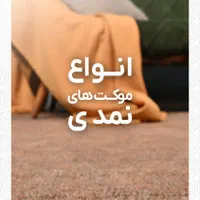 فروش اقساطی ویژه بازنشستگان تامین اجتماعی|موکت|شیراز, رازی|دیوار