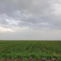 ۳۰۰۰ مترمربع زمین کشاورزی حاصلخیز|فروش دفتر صنعتی، کشاورزی، تجاری|کرج, اکبرآباد|دیوار