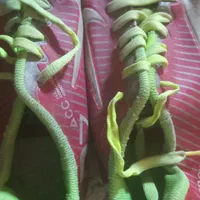کفش چمن