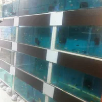 فروش لوازم اکواریوم ماهی|ماهی|پاکدشت, |دیوار