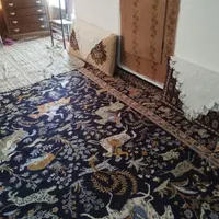 پشتی سالم