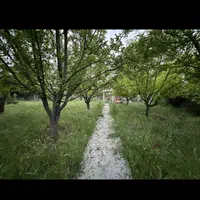 باغ ویلایی فاصله از 2/19 بهاران 1500 متر|فروش خانه و ویلا|سنندج, |دیوار