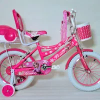 دوچرخه ۱۲/۱۶/۲۰ پشتی سبد اکسین