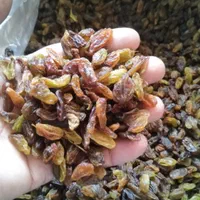 کشمش فله آفتابی محلی|خوردنی و آشامیدنی|شاهرود, |دیوار