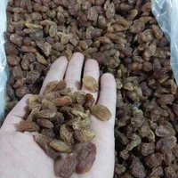 کشمش سرای تک(امید)لاله  نفت یولی کوچه دنیادوست|عمده‌فروشی|تبریز, |دیوار