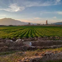 اجاره یکساله ۱۸ هکتار زمین کشاورزی با چاه آب۶ اینچ|اجارهٔ دفتر صنعتی، کشاورزی، تجاری|اندیمشک, |دیوار
