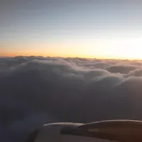 مهاجرت کاری