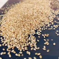 فرآوری و پخش کنجد|خوردنی و آشامیدنی|مشهد, شهرک صنعتی توس|دیوار