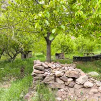 باغچه ۷۰۰ متر لواسان بزرگ قابل ساخت/جورد/وسکاره|فروش زمین و ملک کلنگی|لواسان, |دیوار