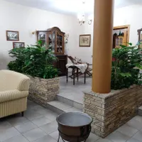 درختچه ها گل گیاه لمسی سبز مصنوعی فلاورباکس واردتی|گل مصنوعی|تهران, شهید بروجردی|دیوار