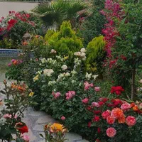 باغ ویلای 1000 متری/مجوز/چاه شخصی/آسفالت/حیدرآباد|فروش خانه و ویلا|اصفهان, سعادت‌آباد|دیوار