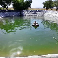 ۱۵۰۰ متر باغ بادام (زمین) منطقه زرندیه ساوه|فروش دفتر صنعتی، کشاورزی، تجاری|تهران, امیر بهادر|دیوار