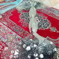 تور ماهیگیری|ماهیگیری|شیراز, بازار|دیوار