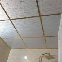 سقف کاذب و کناف .فروش.نصب تعمیرات انصاری|خدمات پیشه و مهارت|تهران, استاد معین|دیوار