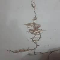 سمپاشی وموریانه زدایی باضمانت نامه کتبی معتبر