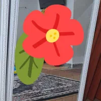 آینه  بزرگ نو