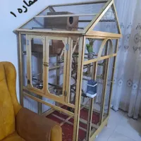 عروس هلندی . قفس پرنده . لونه پرنده|پرنده|رباط‌کریم, |دیوار