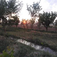 زمین کشاورزی باموقعیت عالی مناسب باغ وباغ ویلا|فروش زمین و ملک کلنگی|خمین, |دیوار