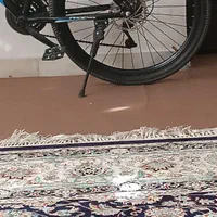 دوچرخه ۲۶ فونیکس|دوچرخه، اسکیت، اسکوتر|اصفهان, شهید رجایی|دیوار