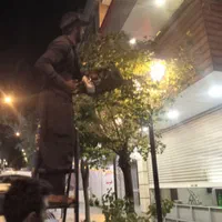 سمپاشی وباغبانی درکل نقاط تهران(سم سوسک وساس )|خدمات باغبانی و درختکاری|تهران, فرمانیه|دیوار