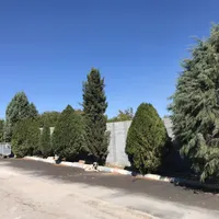 فروش زمین مسکونی دیوارکشی دارای پروانه ساخت|فروش زمین و ملک کلنگی|اصفهان, باغ کاران|دیوار