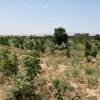 ۵۰۰متر باغ سند تک برگ بی همتا درشهر مامونیه|فروش زمین و ملک کلنگی|تهران, اکباتان|دیوار