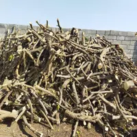 فروش و خرید چوب مرکبات جنوب رودان|عمده‌فروشی|میناب, |دیوار