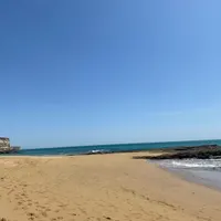 راهنمایی کنید