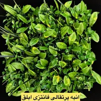 فروش انواع پنل گرینوال|گل مصنوعی|تهران, کوی فردوس|دیوار