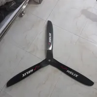 ملخ پاراموتور